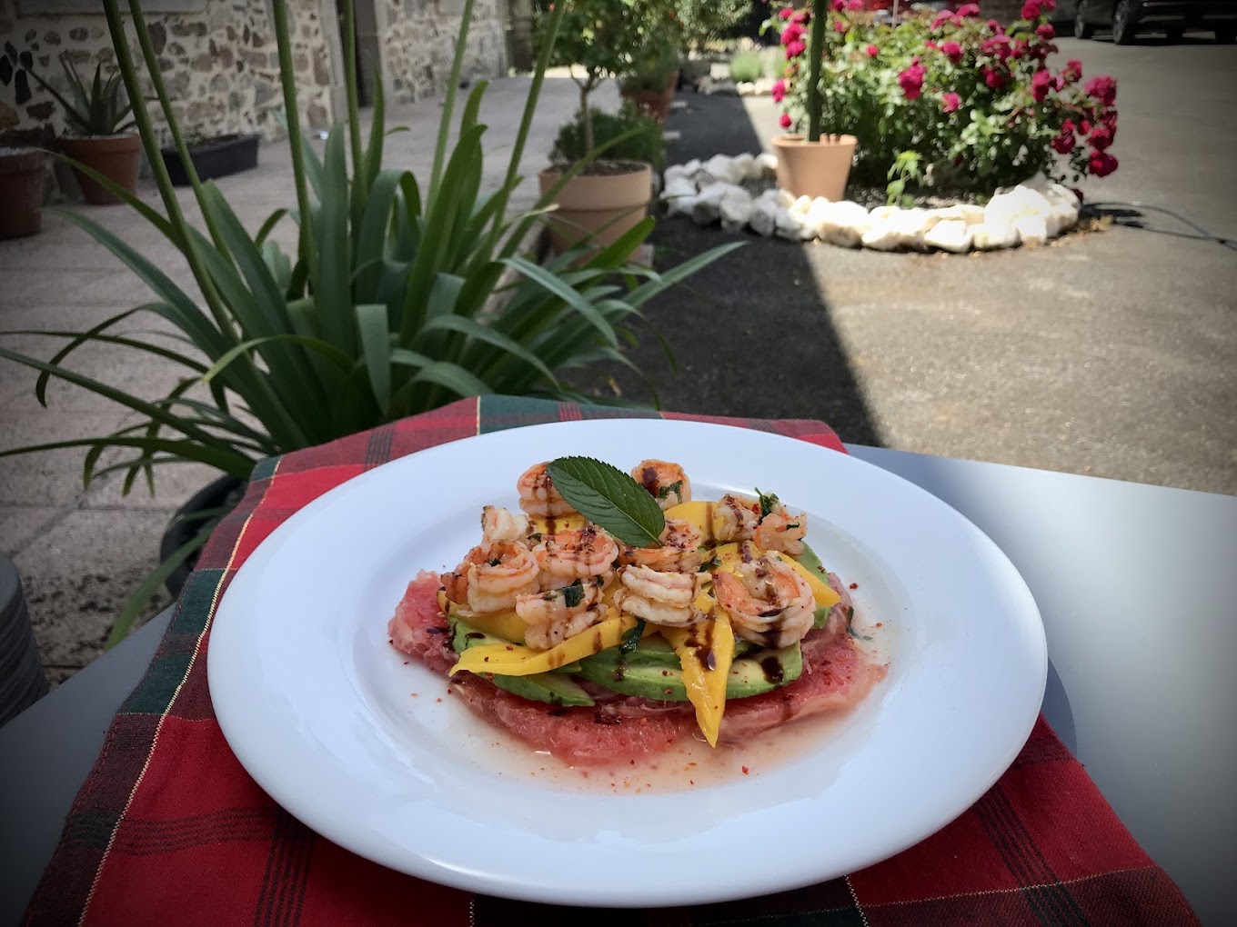 Assiette colorée de crevettes, mangue et avocat